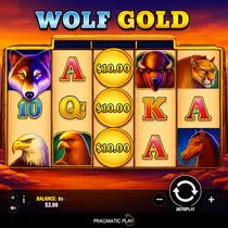 Slotexo - Wolf Gold Slot - Pragmatic Play Pokies